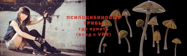 герыч Волоколамск