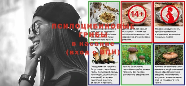 СК Волосово