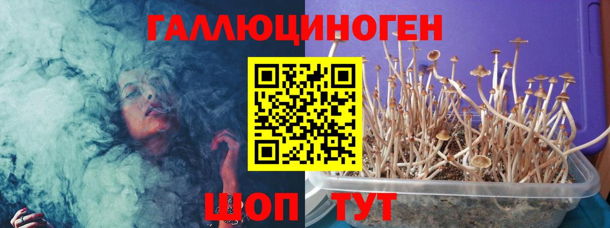 Псилоцибиновые грибы мухоморы  Псилоцибиновые грибы ЛСД  Верхняя Салда 