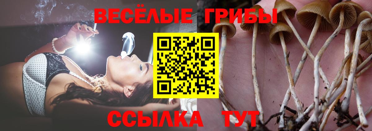 Верхняя Салда  Галлюциногенные грибы Psilocybine cubensis  Вход с VPN 